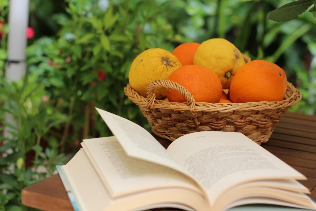 Bed and Breakfast Fiori E Limoni Quartucciu Zewnętrze zdjęcie