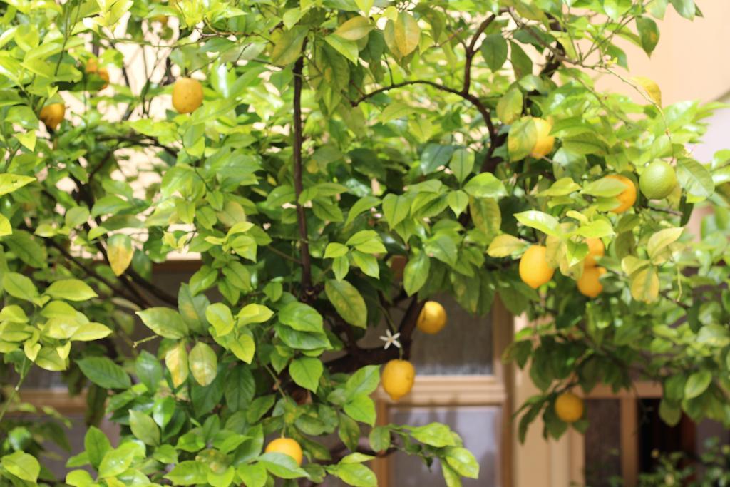 Bed and Breakfast Fiori E Limoni Quartucciu Zewnętrze zdjęcie