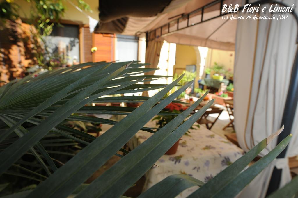 Bed and Breakfast Fiori E Limoni Quartucciu Zewnętrze zdjęcie